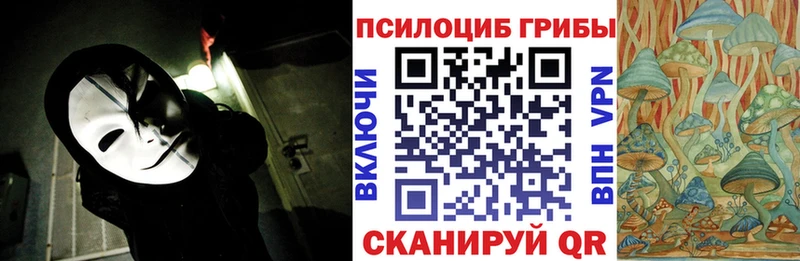Купить  Чишмы  Псилоцибиновые грибы MAGIC MUSHROOMS 
